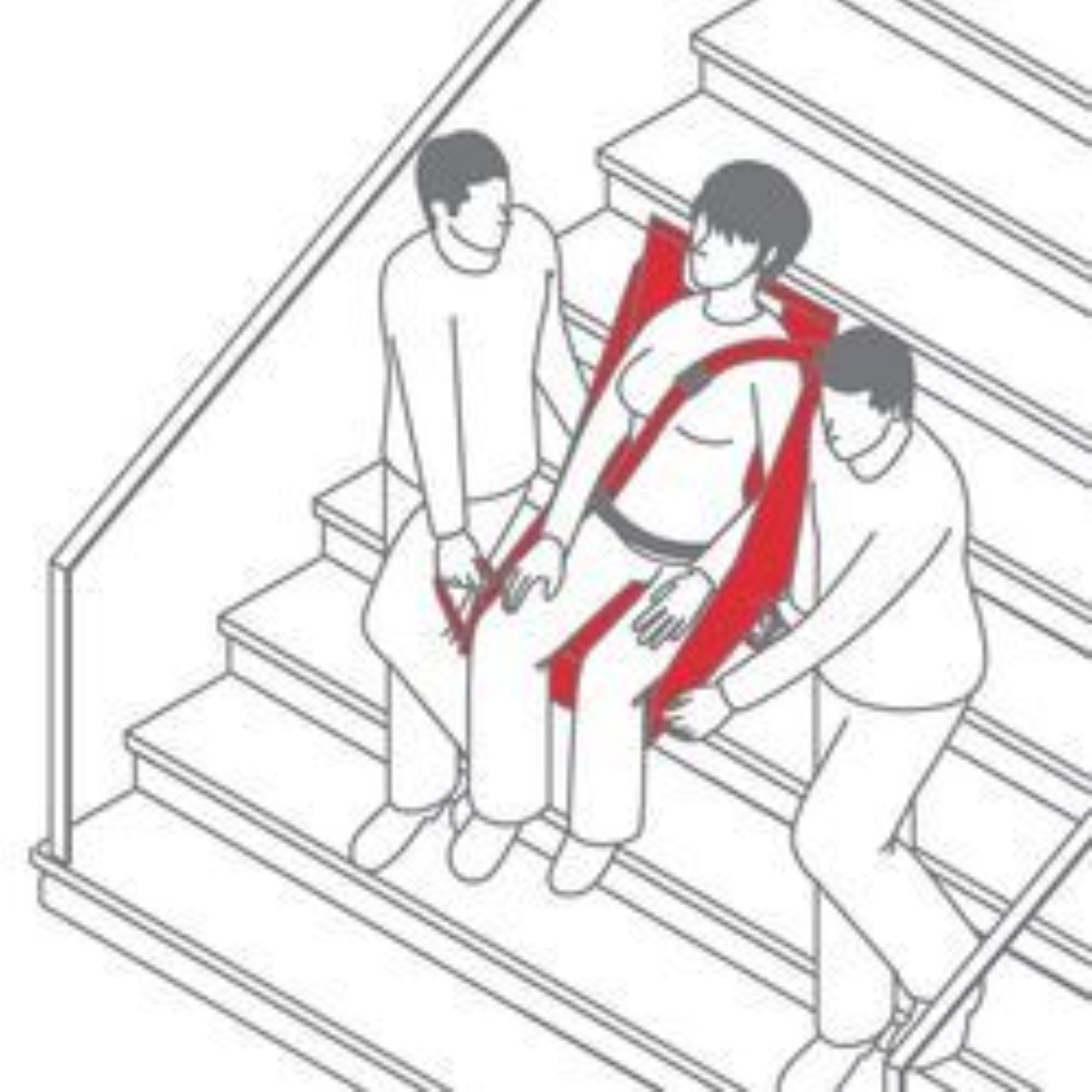 Alpha® Tragesitz Swing PM-4035 von Petermann